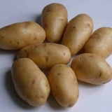 Potato nevsky